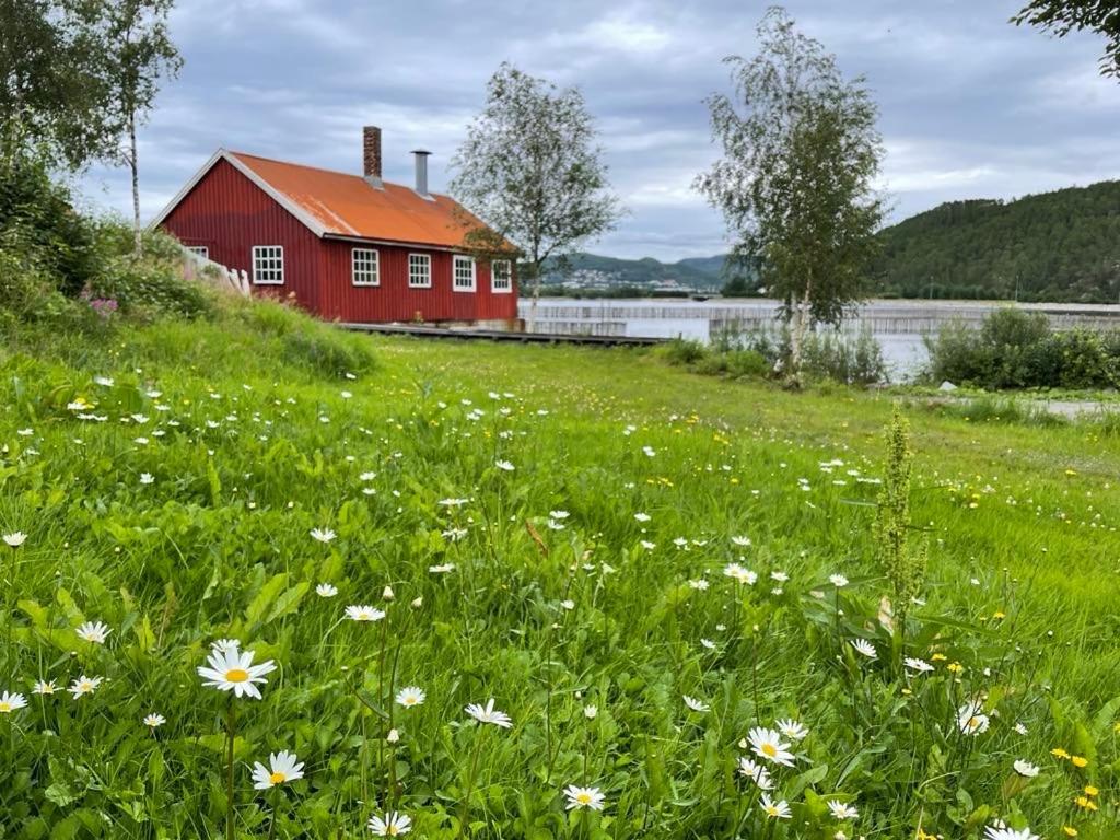 Апартаменти Stille Og Landlig, Men Sentrumsnaer Leilighet Намсус Екстер'єр фото